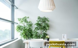 pg电子游戏真人娱乐完全手册：经典牌类与棋骰玩法深度解析