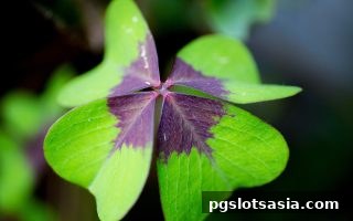 pg电子游戏视角下的数字娱乐解析：永利D与乐透的理性参与指南