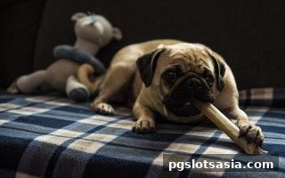 pg电子游戏充值优惠全攻略：首充、签到、积分与限时活动一网打尽