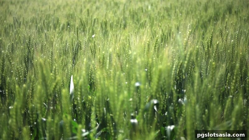 pg电子游戏牛牛玩法首次充值奖励全攻略