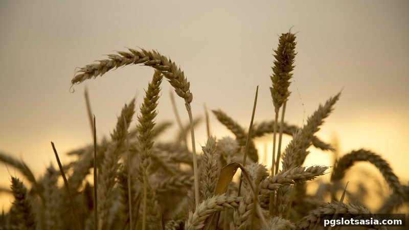 pg电子游戏炸金花新手注册红包申请全攻略：轻松拿福利