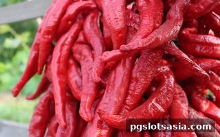 pg电子游戏足球直播返水全攻略：轻松掌握返利机制与数字竞猜技巧