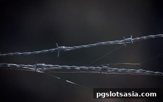 pg电子游戏深度解析：马耳他牌照如何成为在线娱乐平台的合规金标准？