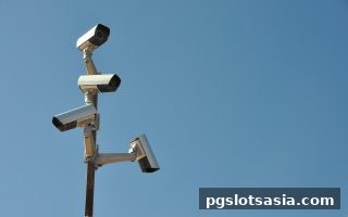 pg电子游戏玩家必读：高效止盈止损策略，掌控线上娱乐风险