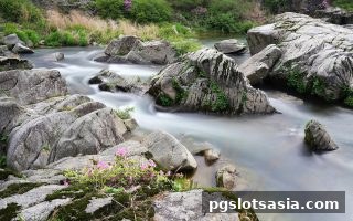 pg电子游戏带你揭秘：英超现场直播效果的核心指标与优化策略